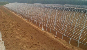 溫室蔬菜大棚冬季施肥要“快速” 溫室蔬菜大棚冬季施肥要“快速”