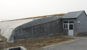 溫室大棚常用的高效復(fù)種技術(shù) 溫室大棚常用的高效復(fù)種技術(shù)