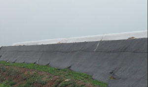 蔬菜大棚拔園在建設(shè)中是至關(guān)重要的 蔬菜大棚拔園在建設(shè)中是至關(guān)重要的