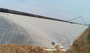 蔬菜大棚棉被的存放注意事項(xiàng) 蔬菜大棚棉被的存放注意事項(xiàng)