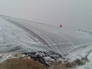 溫室大棚的微灌系統(tǒng) 溫室大棚的微灌系統(tǒng)
