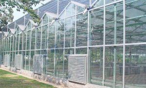 連棟溫室的清洗方式 連棟溫室的清洗方式