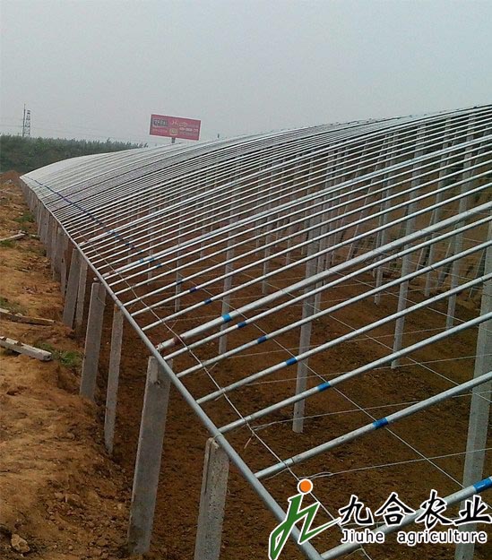 土墻立柱日光溫室 土墻立柱日光溫室